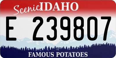 ID license plate E239807