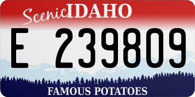 ID license plate E239809