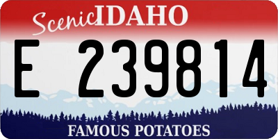 ID license plate E239814