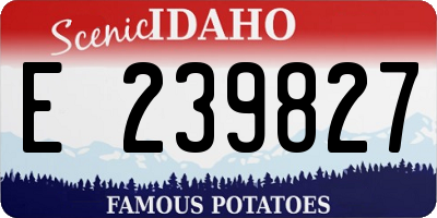 ID license plate E239827