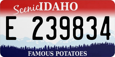 ID license plate E239834