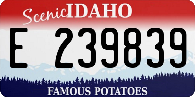 ID license plate E239839