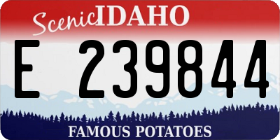 ID license plate E239844