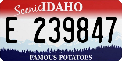 ID license plate E239847