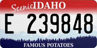 ID license plate E239848