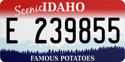 ID license plate E239855