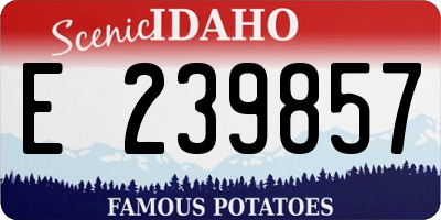 ID license plate E239857