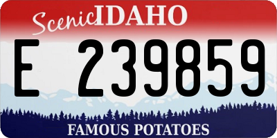 ID license plate E239859