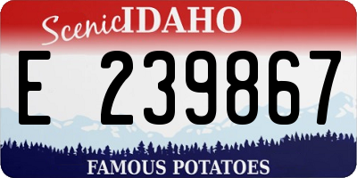 ID license plate E239867