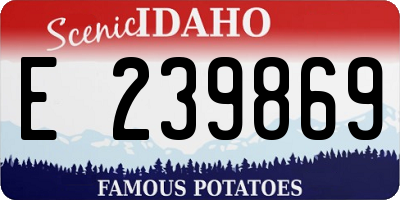 ID license plate E239869