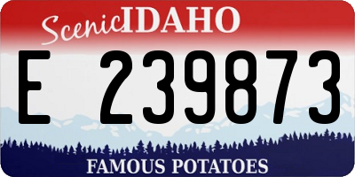 ID license plate E239873