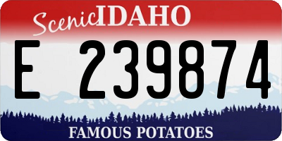 ID license plate E239874