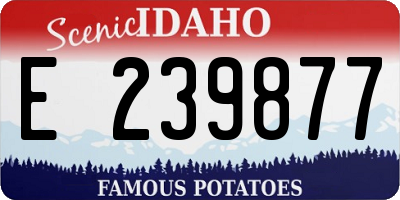 ID license plate E239877