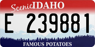 ID license plate E239881
