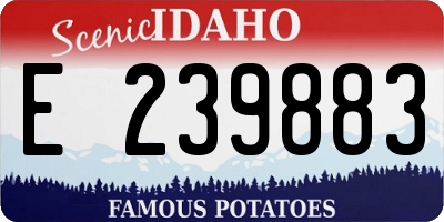 ID license plate E239883