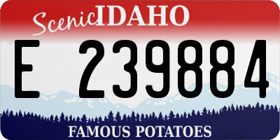 ID license plate E239884