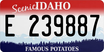 ID license plate E239887