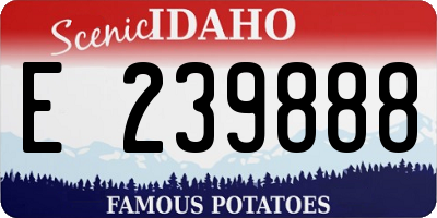 ID license plate E239888