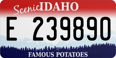 ID license plate E239890