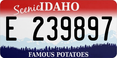 ID license plate E239897