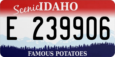 ID license plate E239906