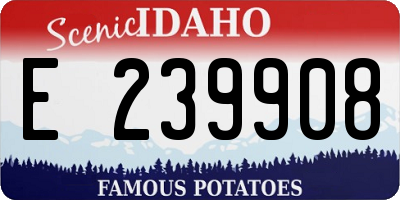ID license plate E239908