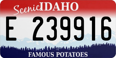ID license plate E239916