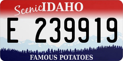 ID license plate E239919