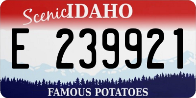 ID license plate E239921