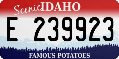 ID license plate E239923