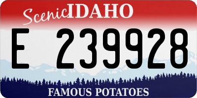 ID license plate E239928