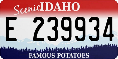 ID license plate E239934