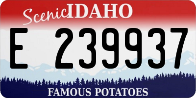 ID license plate E239937