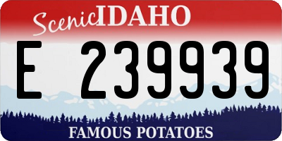 ID license plate E239939