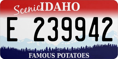 ID license plate E239942