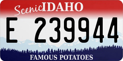 ID license plate E239944