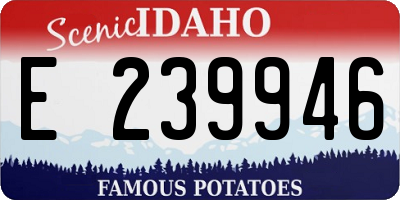ID license plate E239946
