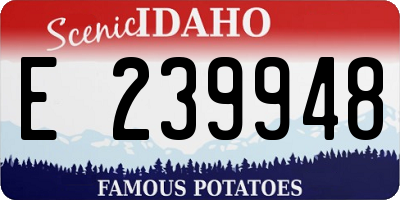 ID license plate E239948