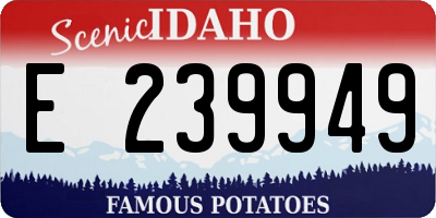 ID license plate E239949