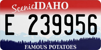 ID license plate E239956