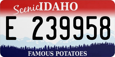 ID license plate E239958