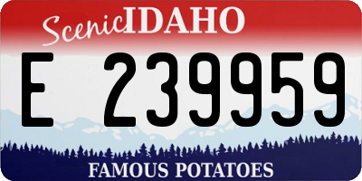 ID license plate E239959