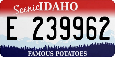 ID license plate E239962