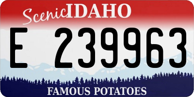 ID license plate E239963