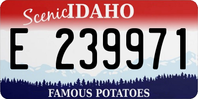 ID license plate E239971