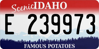 ID license plate E239973