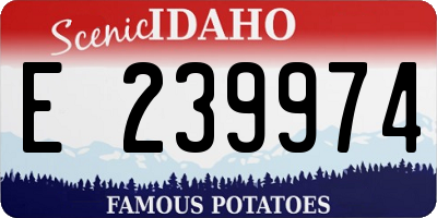 ID license plate E239974