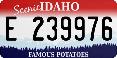 ID license plate E239976