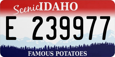 ID license plate E239977