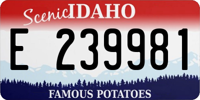 ID license plate E239981